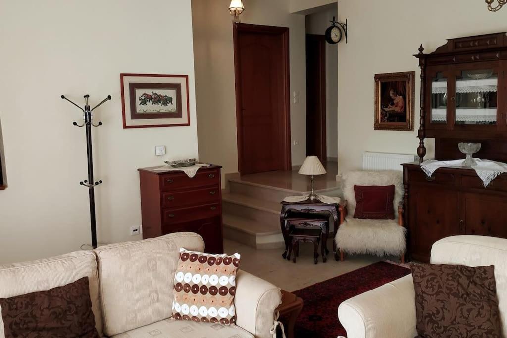Deppy'S House Κοντά Στα Λουτρά Πόζαρ Apartment Chrysi Exterior foto